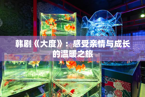 韩剧《大度》：感受亲情与成长的温暖之旅