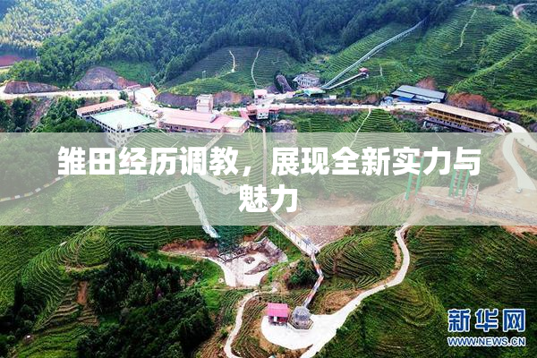 雏田经历调教，展现全新实力与魅力