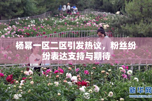 杨幂一区二区引发热议，粉丝纷纷表达支持与期待