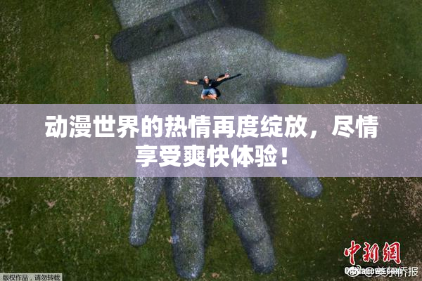 动漫世界的热情再度绽放，尽情享受爽快体验！