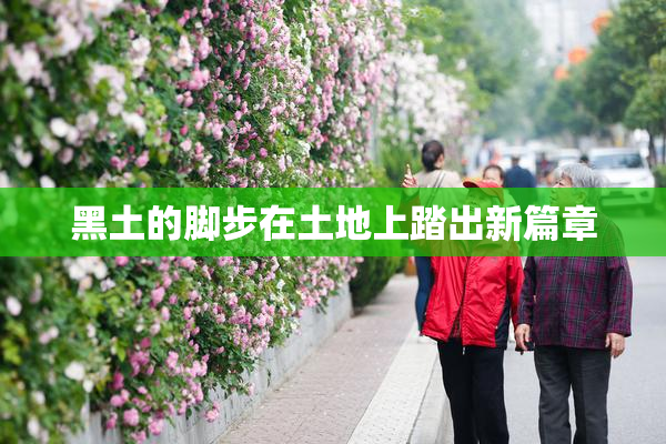 黑土的脚步在土地上踏出新篇章