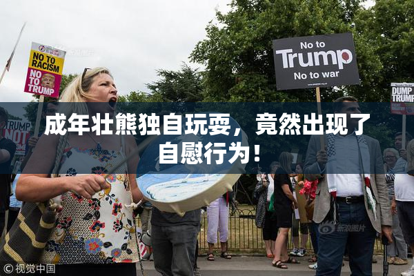 成年壮熊独自玩耍，竟然出现了自慰行为！