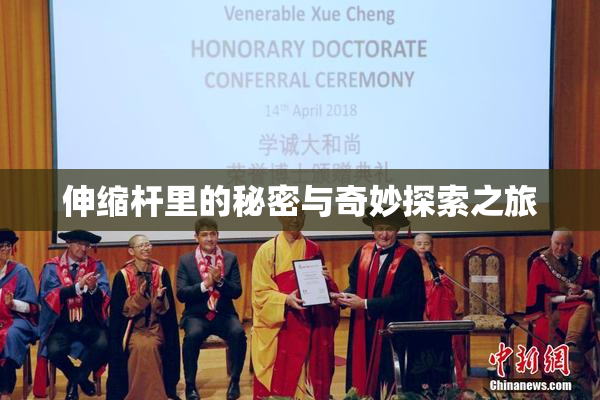 伸缩杆里的秘密与奇妙探索之旅