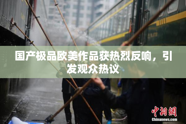 国产极品欧美作品获热烈反响，引发观众热议
