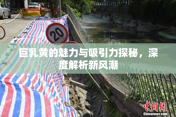 巨乳黄的魅力与吸引力探秘，深度解析新风潮
