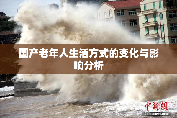 国产老年人生活方式的变化与影响分析