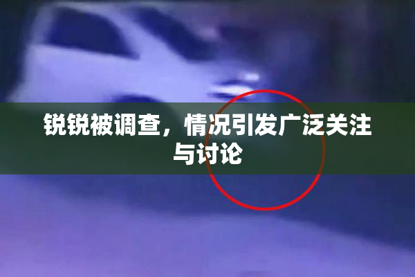 锐锐被调查，情况引发广泛关注与讨论