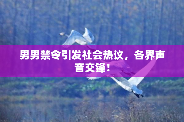 男男禁令引发社会热议，各界声音交锋！