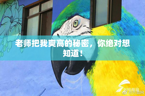 老师把我爽高的秘密，你绝对想知道！