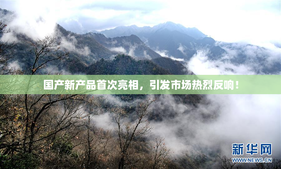 国产新产品首次亮相，引发市场热烈反响！
