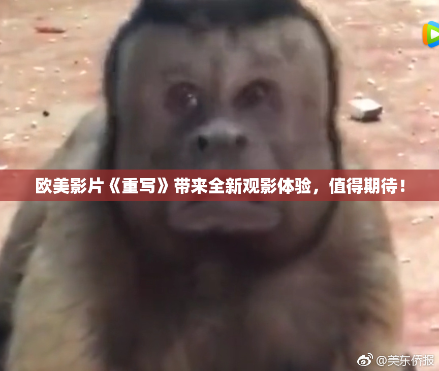 欧美影片《重写》带来全新观影体验，值得期待！