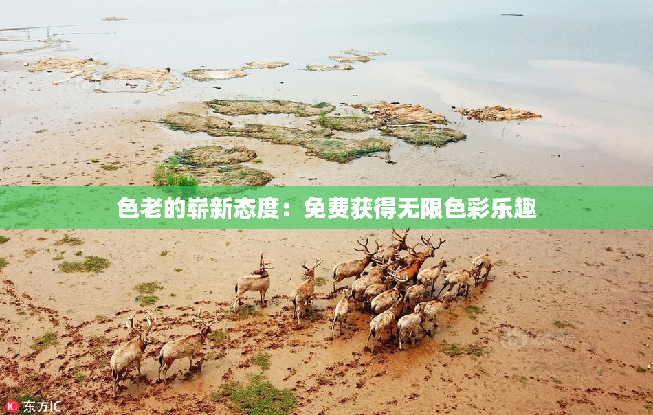 色老的崭新态度：免费获得无限色彩乐趣