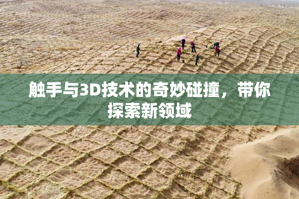 触手与3D技术的奇妙碰撞，带你探索新领域