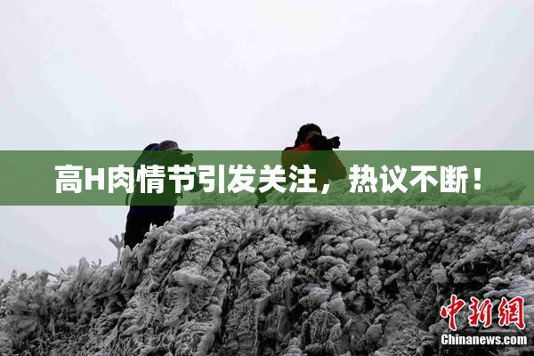 高H肉情节引发关注，热议不断！