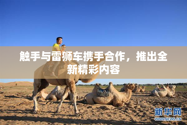 触手与雷狮车携手合作，推出全新精彩内容