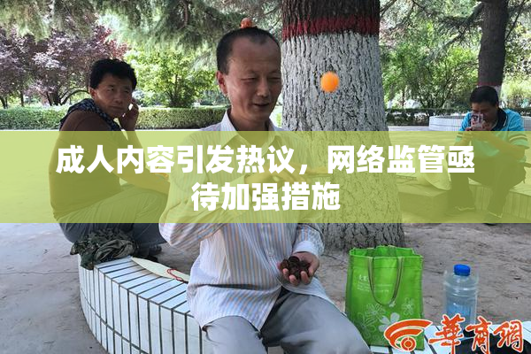 成人内容引发热议，网络监管亟待加强措施