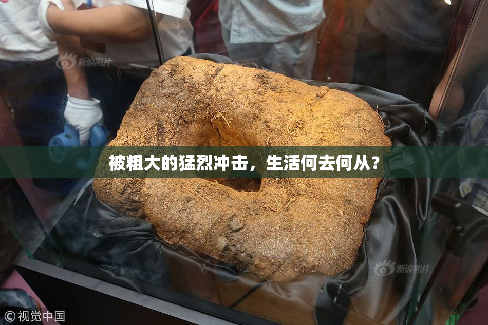 被粗大的猛烈冲击，生活何去何从？
