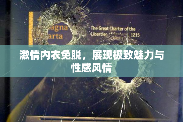 激情内衣免脱，展现极致魅力与性感风情