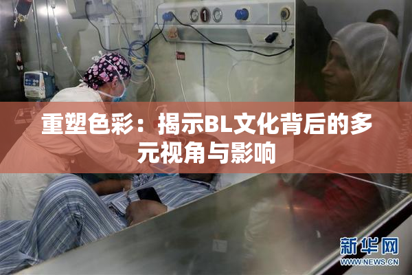 重塑色彩：揭示BL文化背后的多元视角与影响