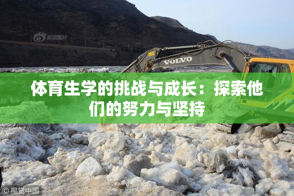 体育生学的挑战与成长：探索他们的努力与坚持