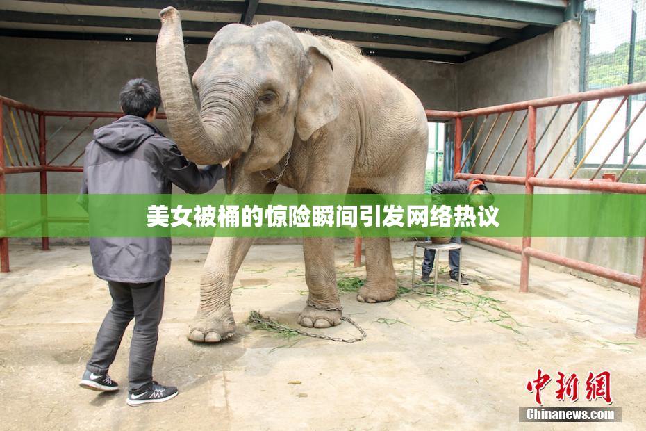 美女被桶的惊险瞬间引发网络热议