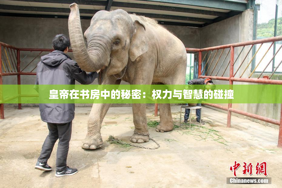 皇帝在书房中的秘密：权力与智慧的碰撞