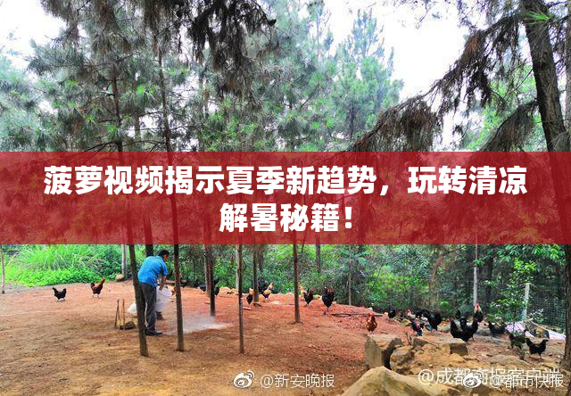 菠萝视频揭示夏季新趋势，玩转清凉解暑秘籍！