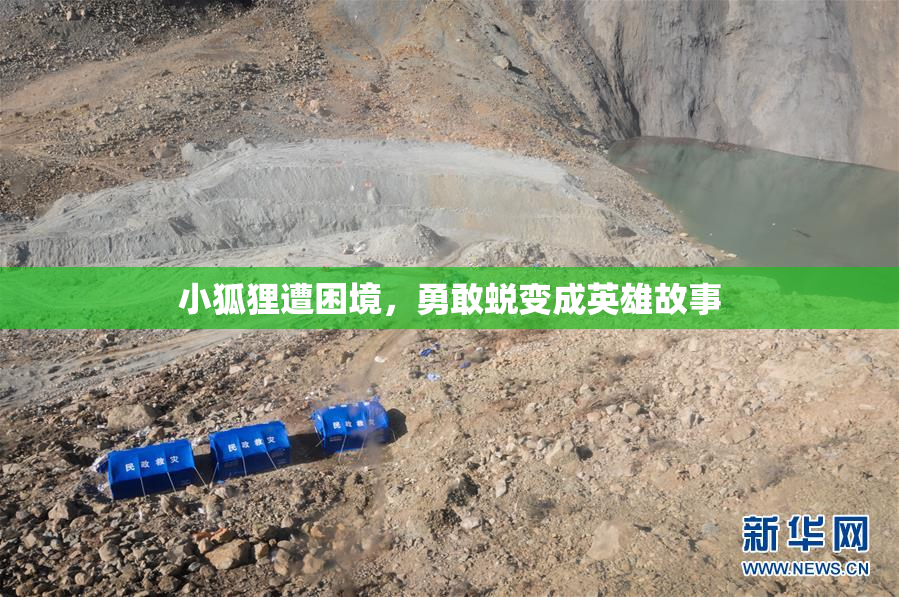 小狐狸遭困境，勇敢蜕变成英雄故事