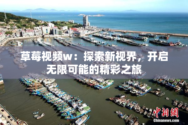 草莓视频w：探索新视界，开启无限可能的精彩之旅