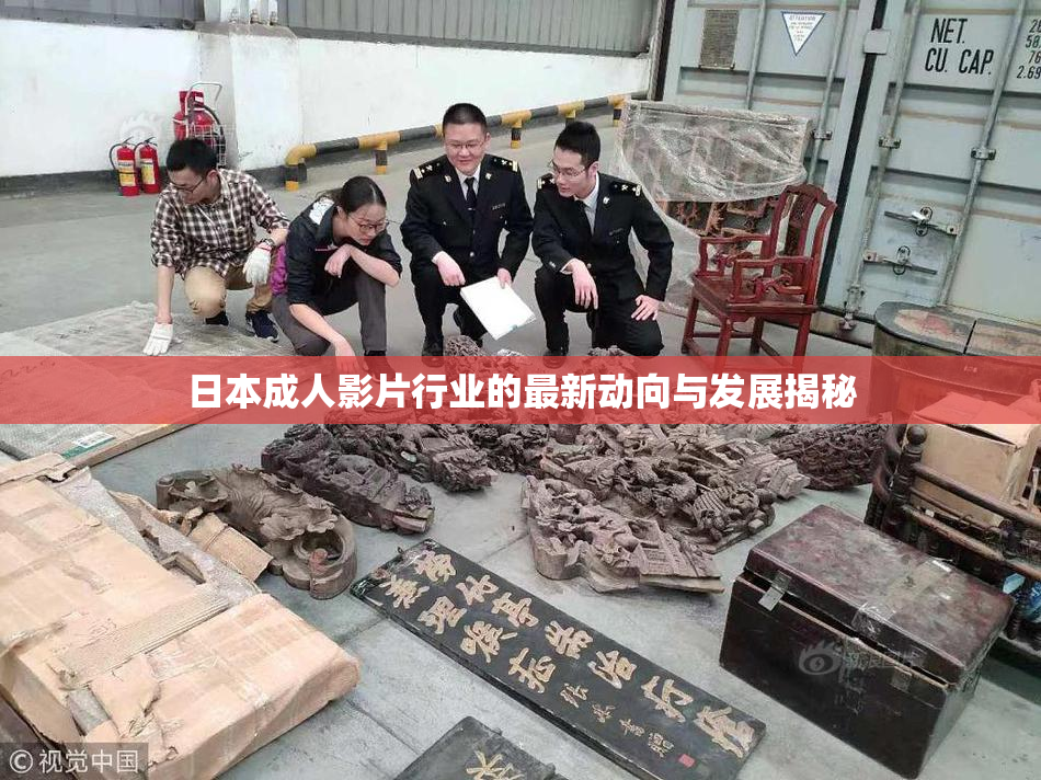 日本成人影片行业的最新动向与发展揭秘