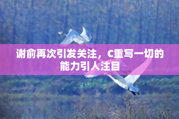 谢俞再次引发关注，C重写一切的能力引人注目