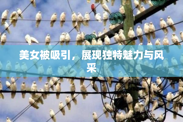 美女被吸引，展现独特魅力与风采