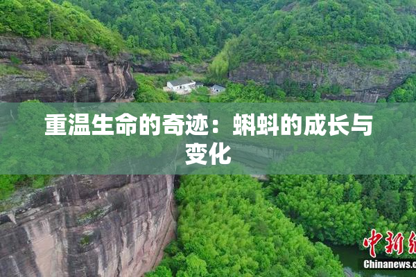 重温生命的奇迹：蝌蚪的成长与变化