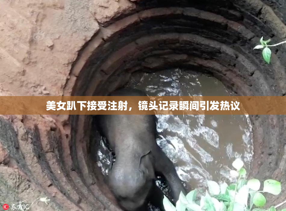 美女趴下接受注射，镜头记录瞬间引发热议