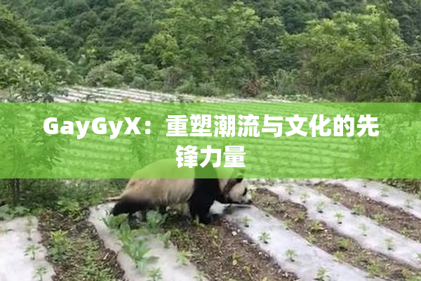 GayGyX：重塑潮流与文化的先锋力量