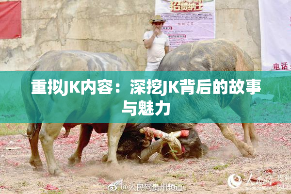 重拟JK内容：深挖JK背后的故事与魅力