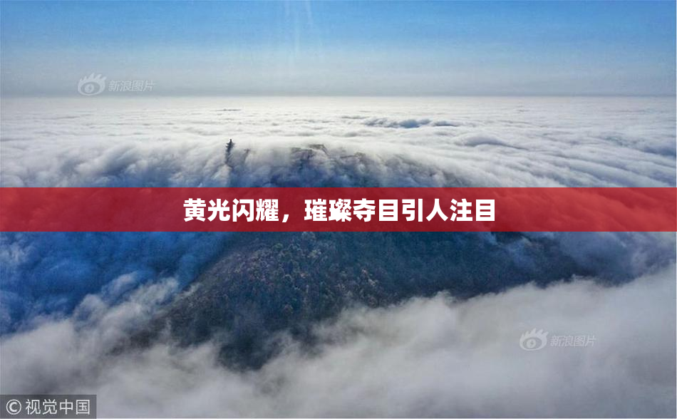 黄光闪耀，璀璨夺目引人注目