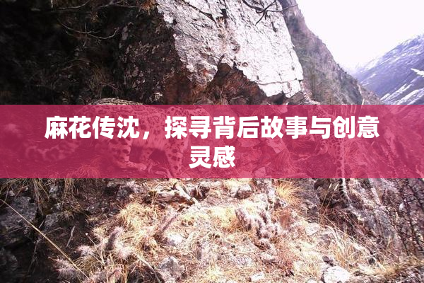 麻花传沈，探寻背后故事与创意灵感