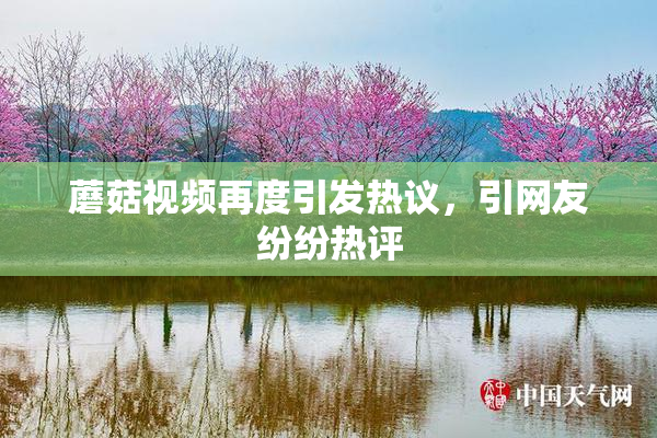 蘑菇视频再度引发热议，引网友纷纷热评