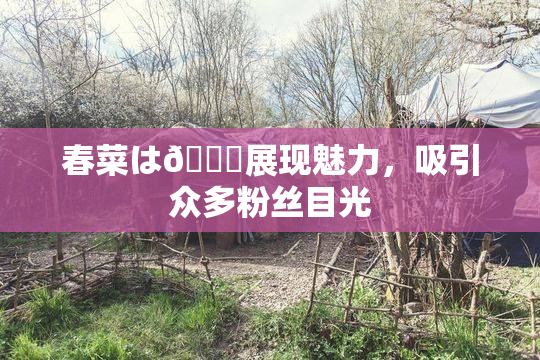 春菜は🍑展现魅力，吸引众多粉丝目光
