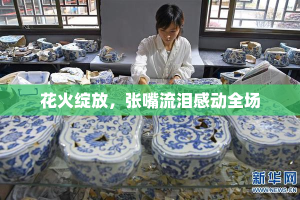 花火绽放，张嘴流泪感动全场
