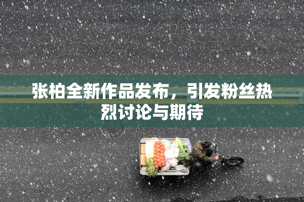 张柏全新作品发布，引发粉丝热烈讨论与期待