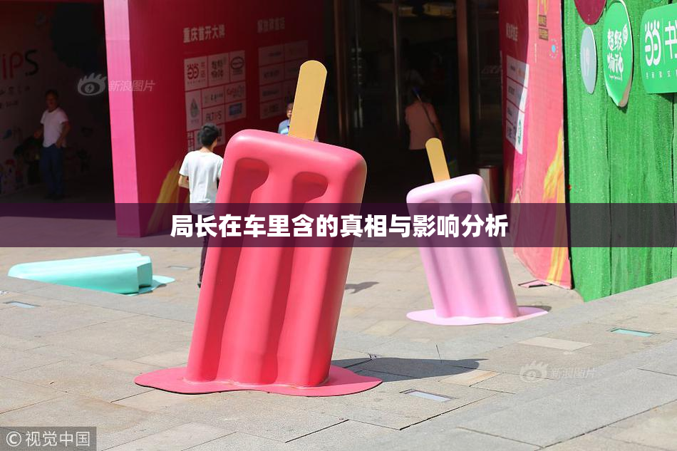 局长在车里含的真相与影响分析