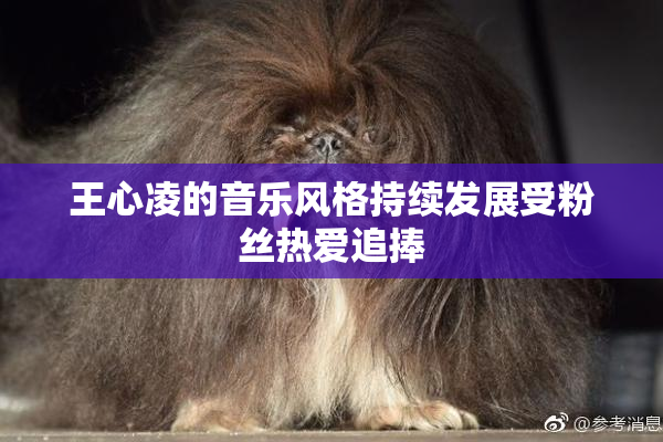 王心凌的音乐风格持续发展受粉丝热爱追捧
