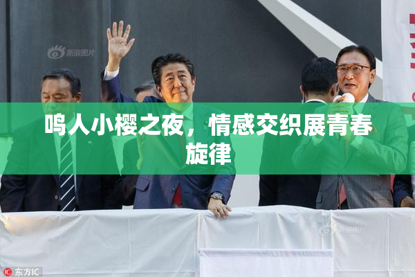 鸣人小樱之夜，情感交织展青春旋律
