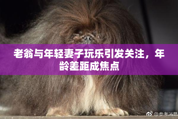 老翁与年轻妻子玩乐引发关注，年龄差距成焦点