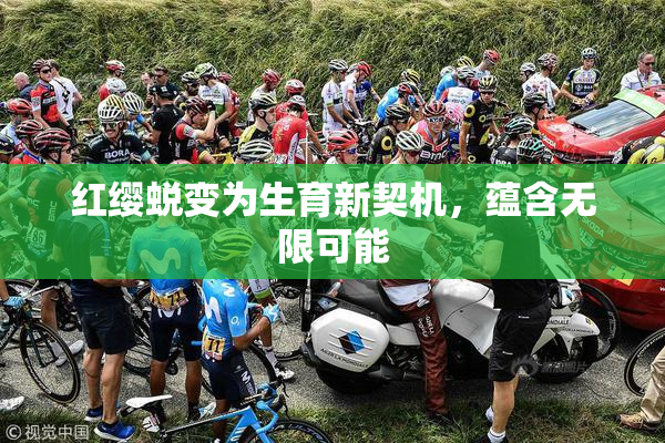 红缨蜕变为生育新契机，蕴含无限可能