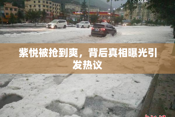 紫悦被抢到爽，背后真相曝光引发热议