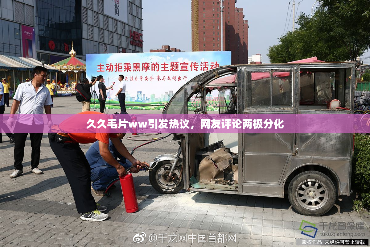久久毛片ww引发热议，网友评论两极分化