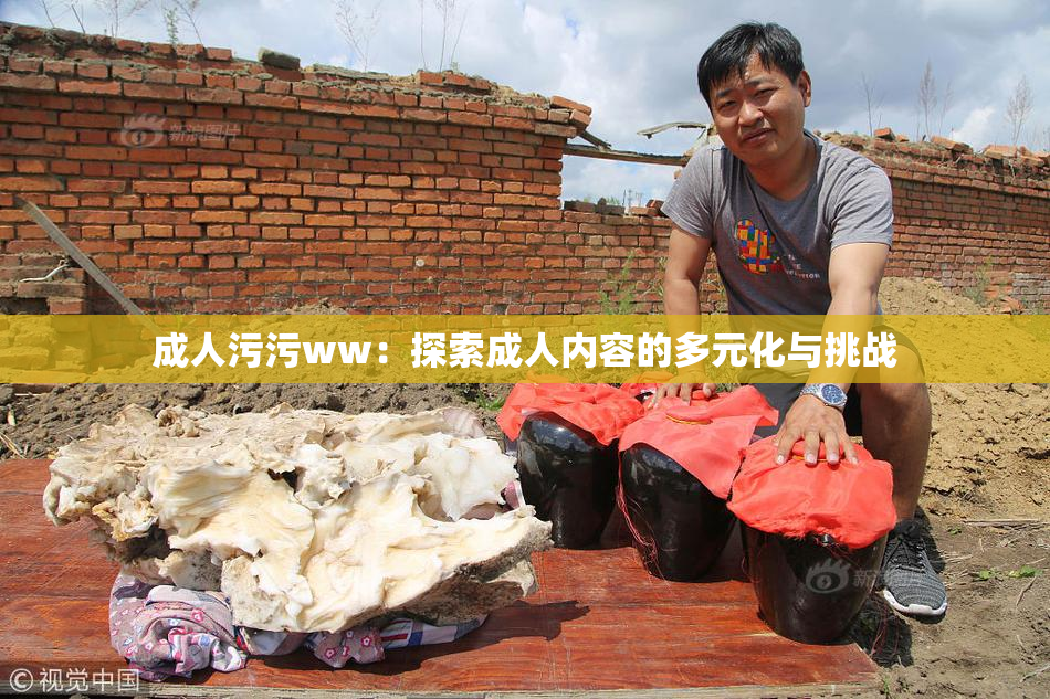 成人污污ww：探索成人内容的多元化与挑战